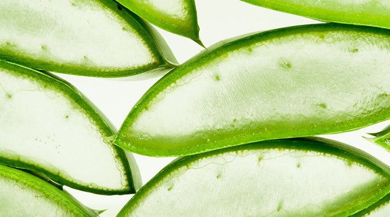 Descoperiti beneficiile super-hidratante ale plantei de aloe vera in toate formele sale