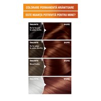 Garnier Color Naturals 4 5 Saten Mahon 3600542619943 4