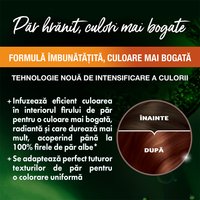 Garnier Color Naturals 4 5 Saten Mahon 3600542619943 5