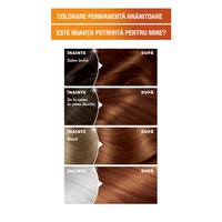 Garnier Color Naturals 5 34 Saten Mahon Auriu 3600540288028 4