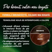 Garnier Color Naturals 5 34 Saten Mahon Auriu 3600540288028 5