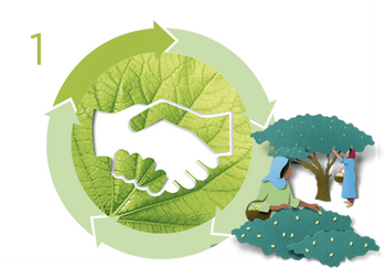 1 MoreSolidaritySourcing