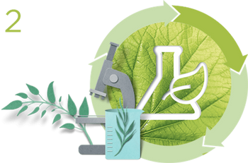 2 GreenSciencesFormulas