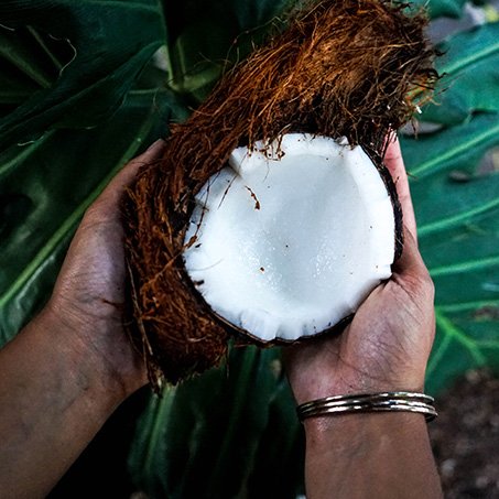 coconut