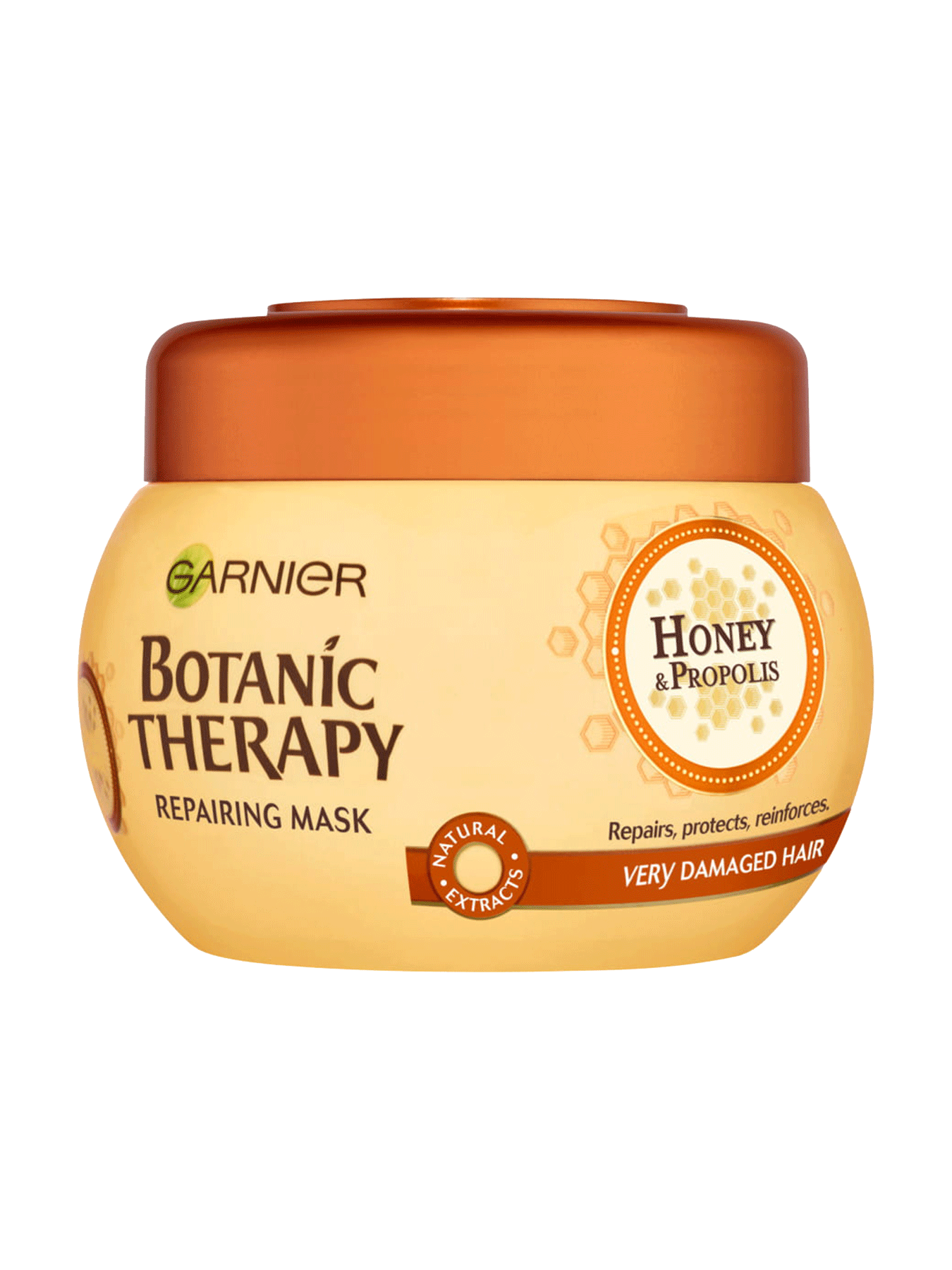 1 0046 Garnier Botanic Therapy Honey Mask front 1